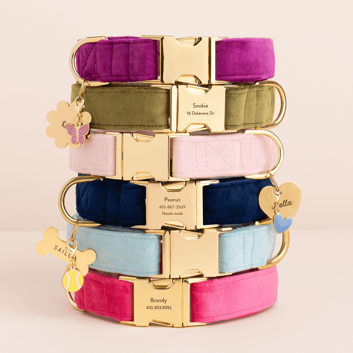 Purple Velvet Dog Collar with Gold Hardware