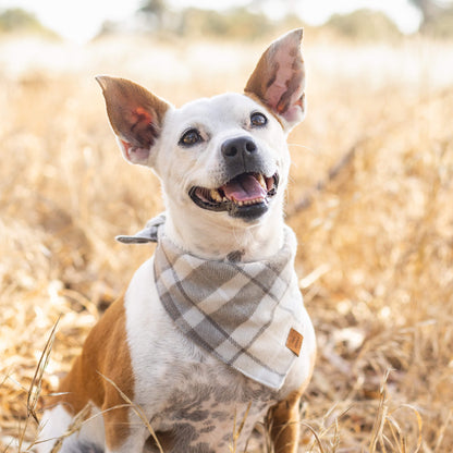 Tan & Cream Plaid Flannel Triangle Tie Dog Bandana
