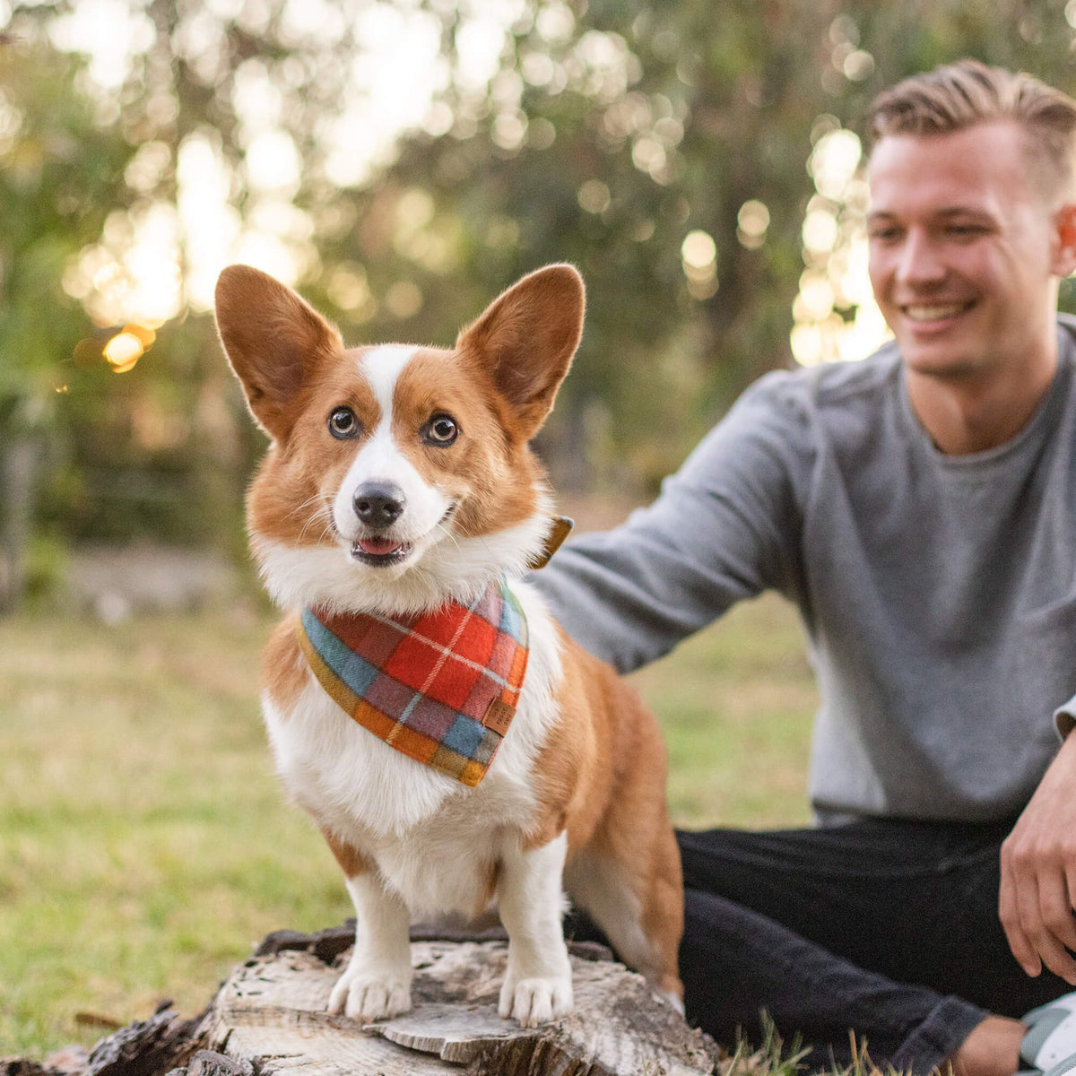 Orange, Red & Teal Plaid Cotton Flannel Dog Bandana