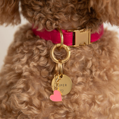 Round Pet ID Tag with Heart Icon, Gold-Tone Stainless Steel