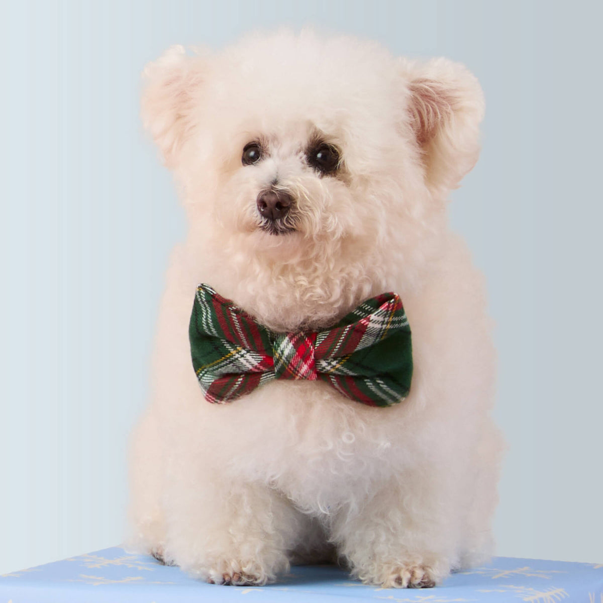 Red & Green Plaid Flannel Dog Collar with Removable Bow Tie