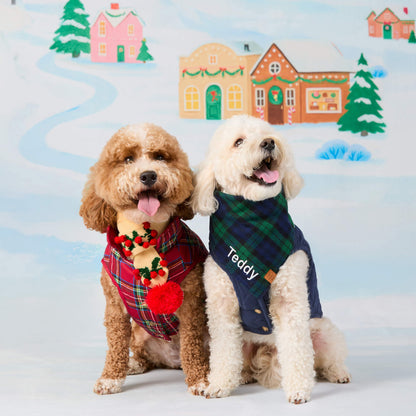 Cream Holly Bobble Knit Pull-Through Dog Scarf with Vegan Leather Tag