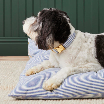 Blue & White Striped Cotton Dog Collar with Brass D-Ring