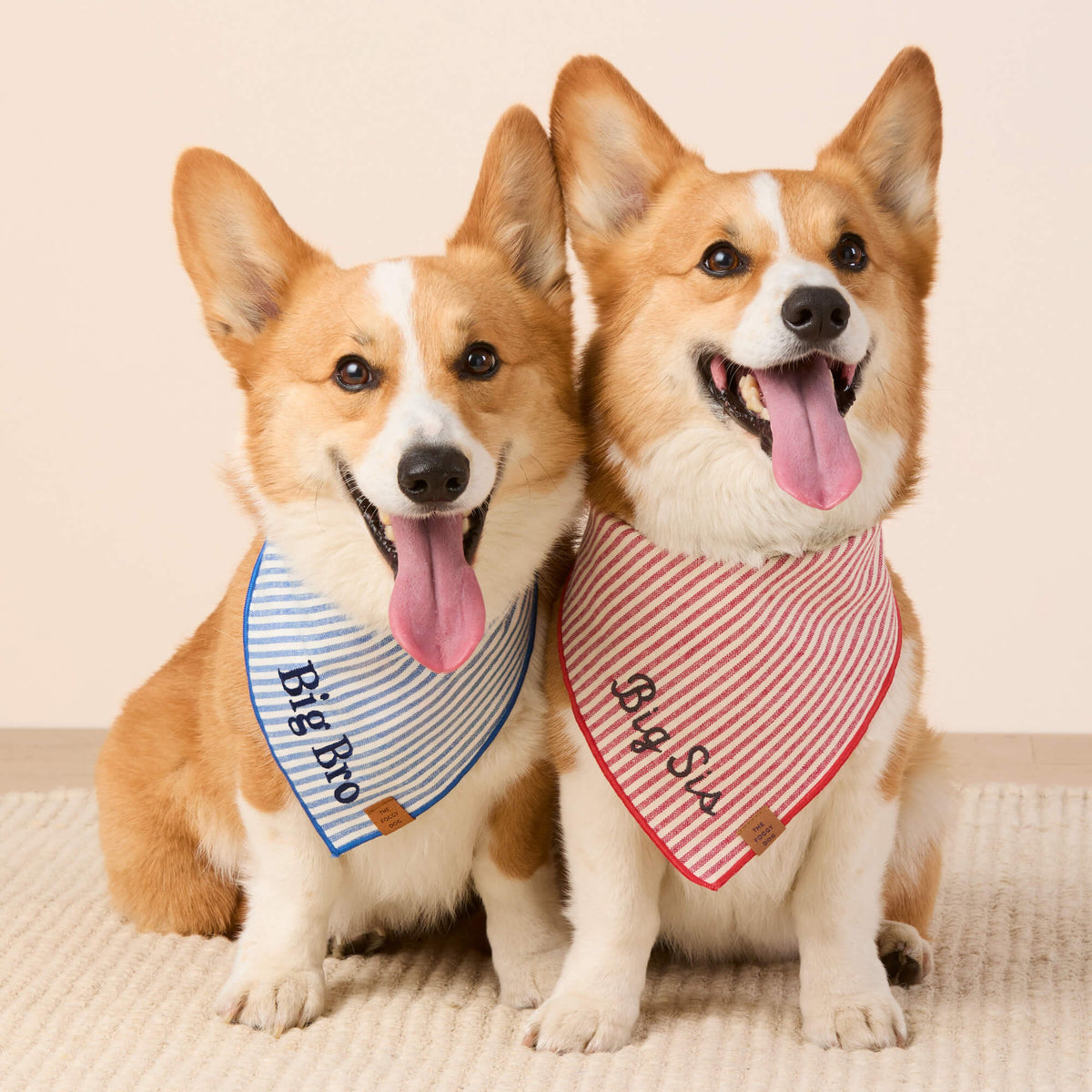 Red Stripe Cotton Canvas Triangle Tie Dog Bandana