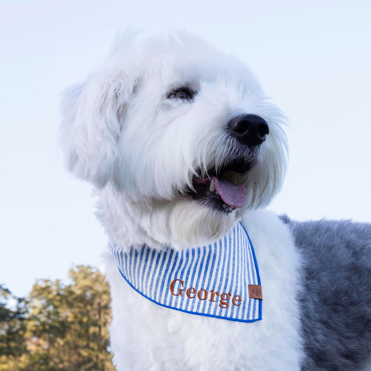 Blue & White Striped Cotton Dog Bandana with Royal Blue Hem