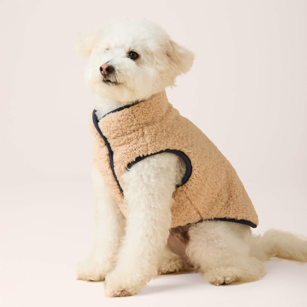 Navy Reversible Sherpa-Lined Quilted Dog Jacket