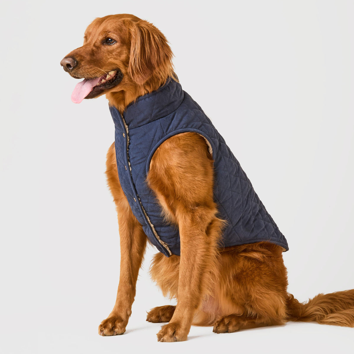 Navy Reversible Sherpa-Lined Quilted Dog Jacket