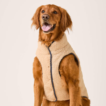 Navy Reversible Sherpa-Lined Quilted Dog Jacket