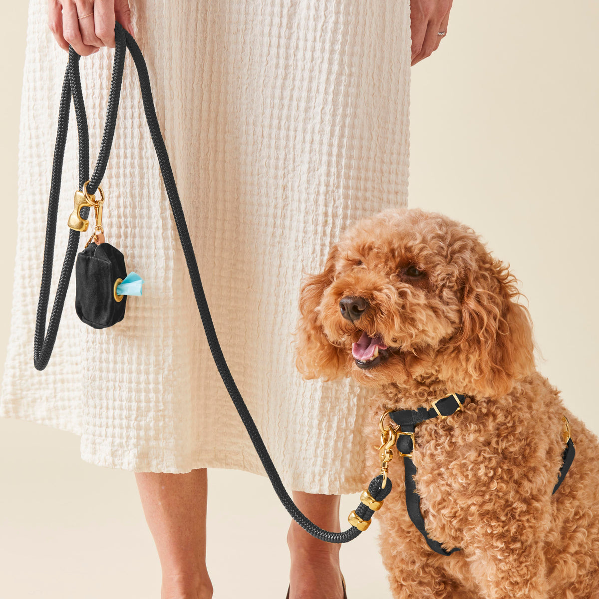 Black Marine Rope Dog Leash, 5 ft, Double-Braided Nylon