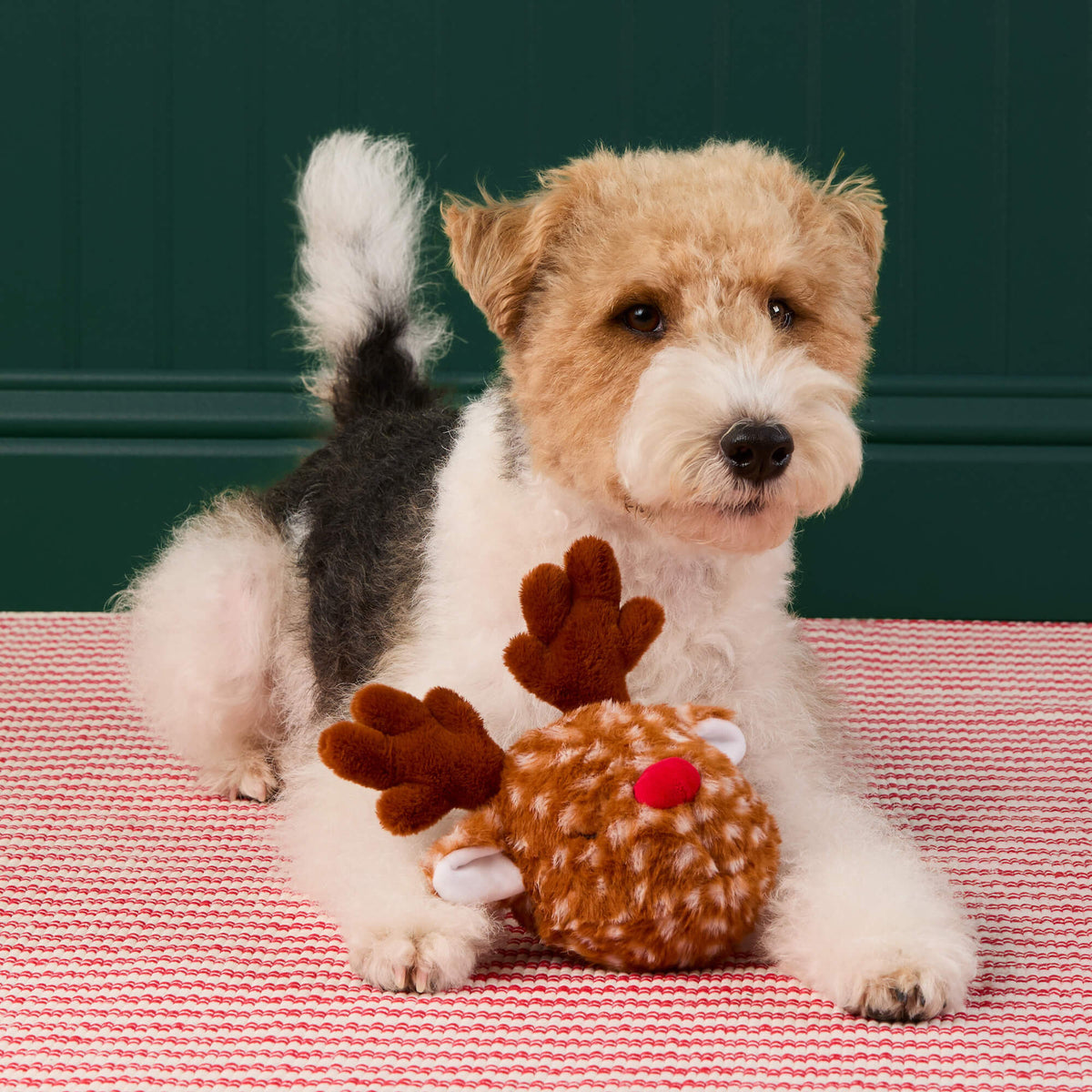 Reindeer Plush Dog Toy with Removable Squeaker Ball