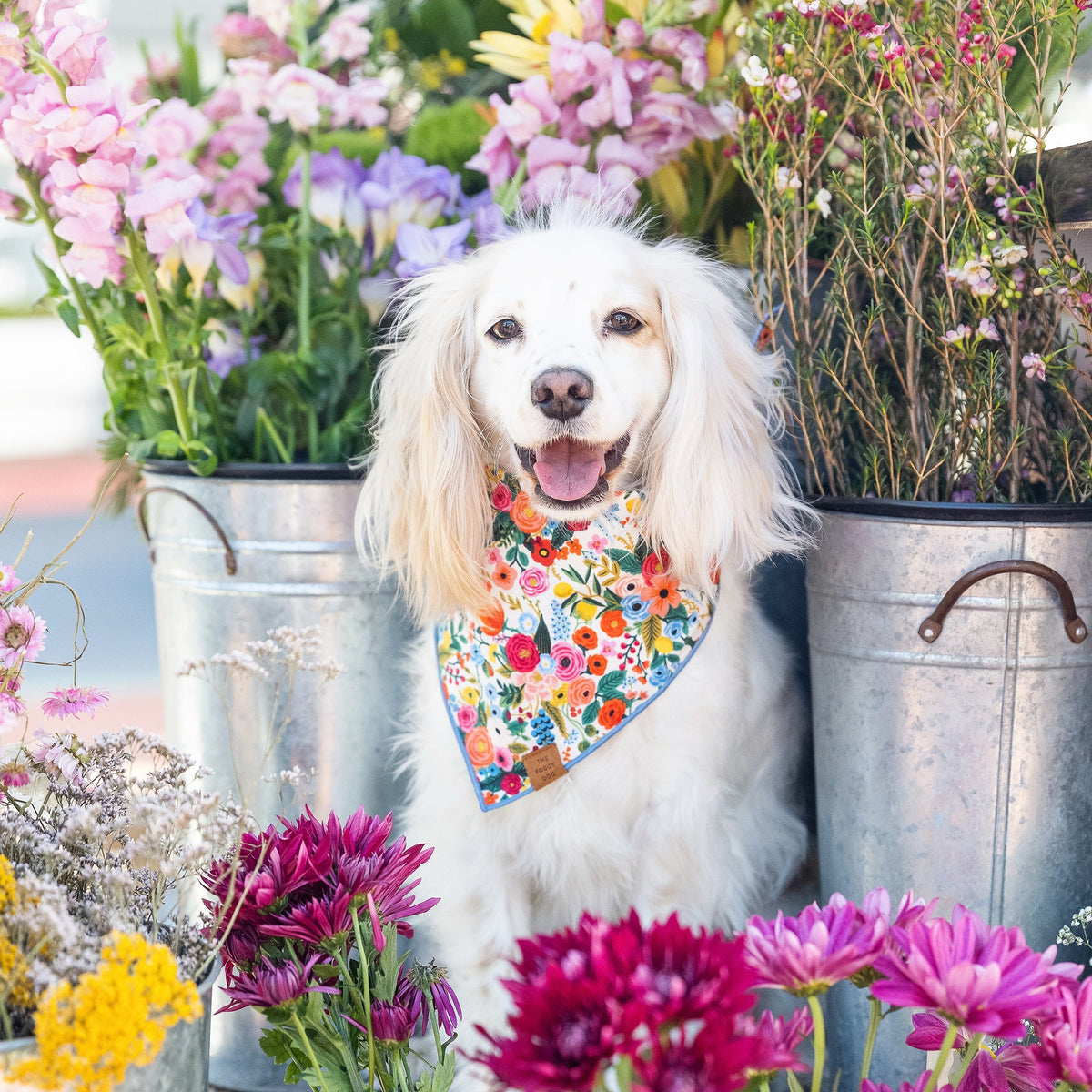 Colorful Floral Print Cotton Triangle Tie Dog Bandana
