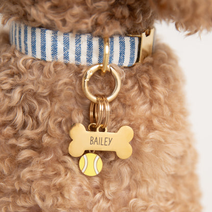 Pet Tag Keeper That Attaches to Dog Collar D-Ring