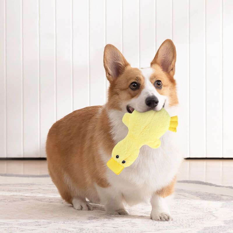 Plush Duck Squeaker Dog Toy for Chewing and Cuddling