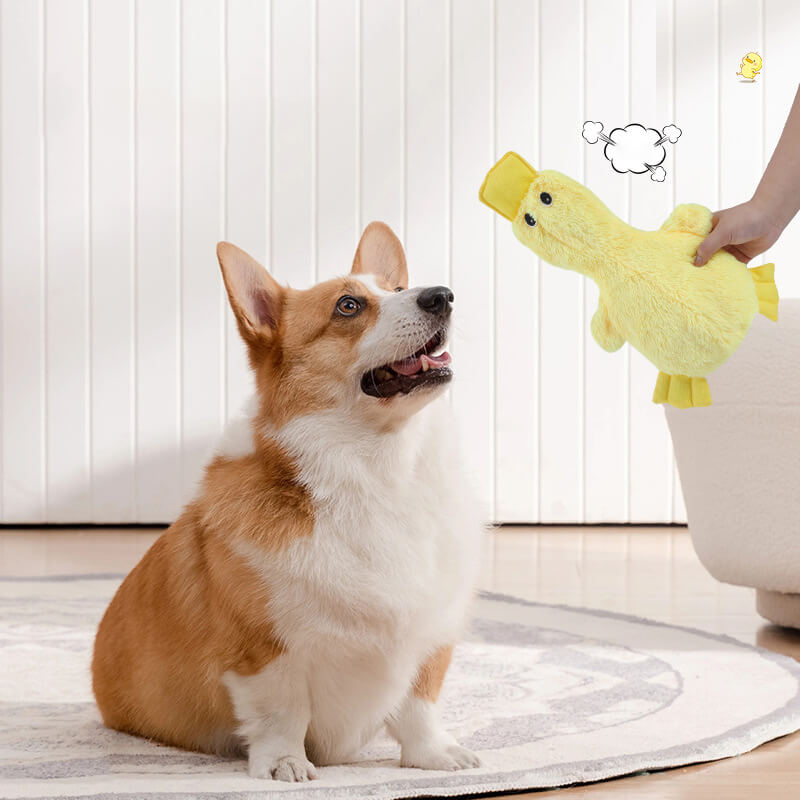 Plush Duck Squeaker Dog Toy for Chewing and Cuddling