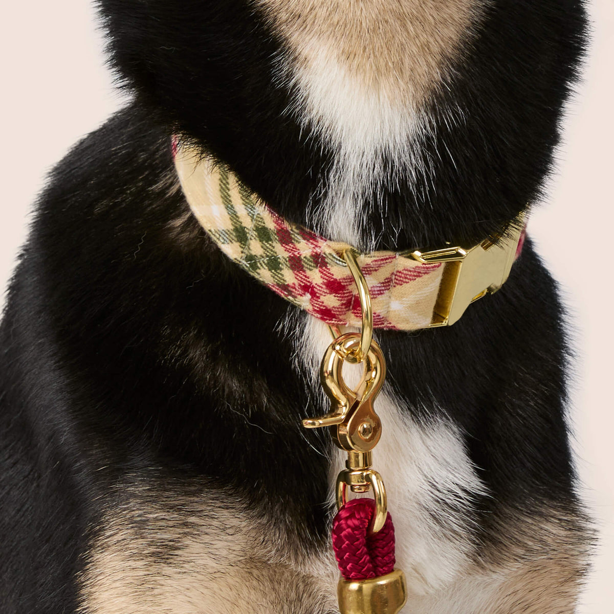Tan & Red Plaid Cotton Flannel Dog Collar, Cut on the Bias