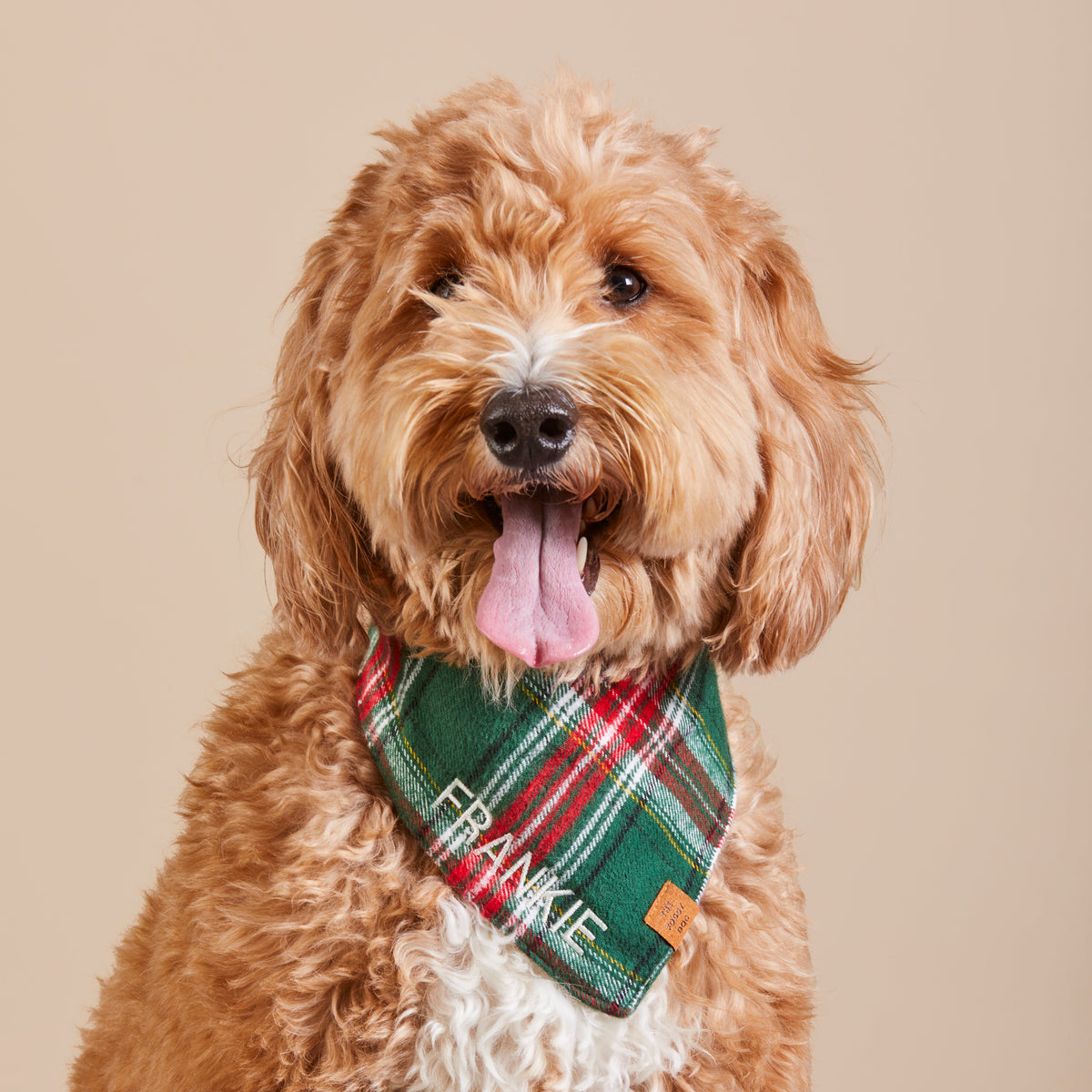 Green & Red Plaid Flannel Dog Bandana, Triangle Tie