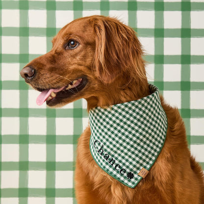 Green Gingham Tie-On Dog Bandana for Dogs
