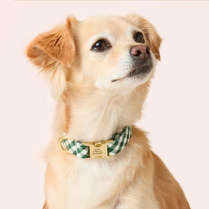 Dark Green Gingham Dog Collar, Sizes XS to Large