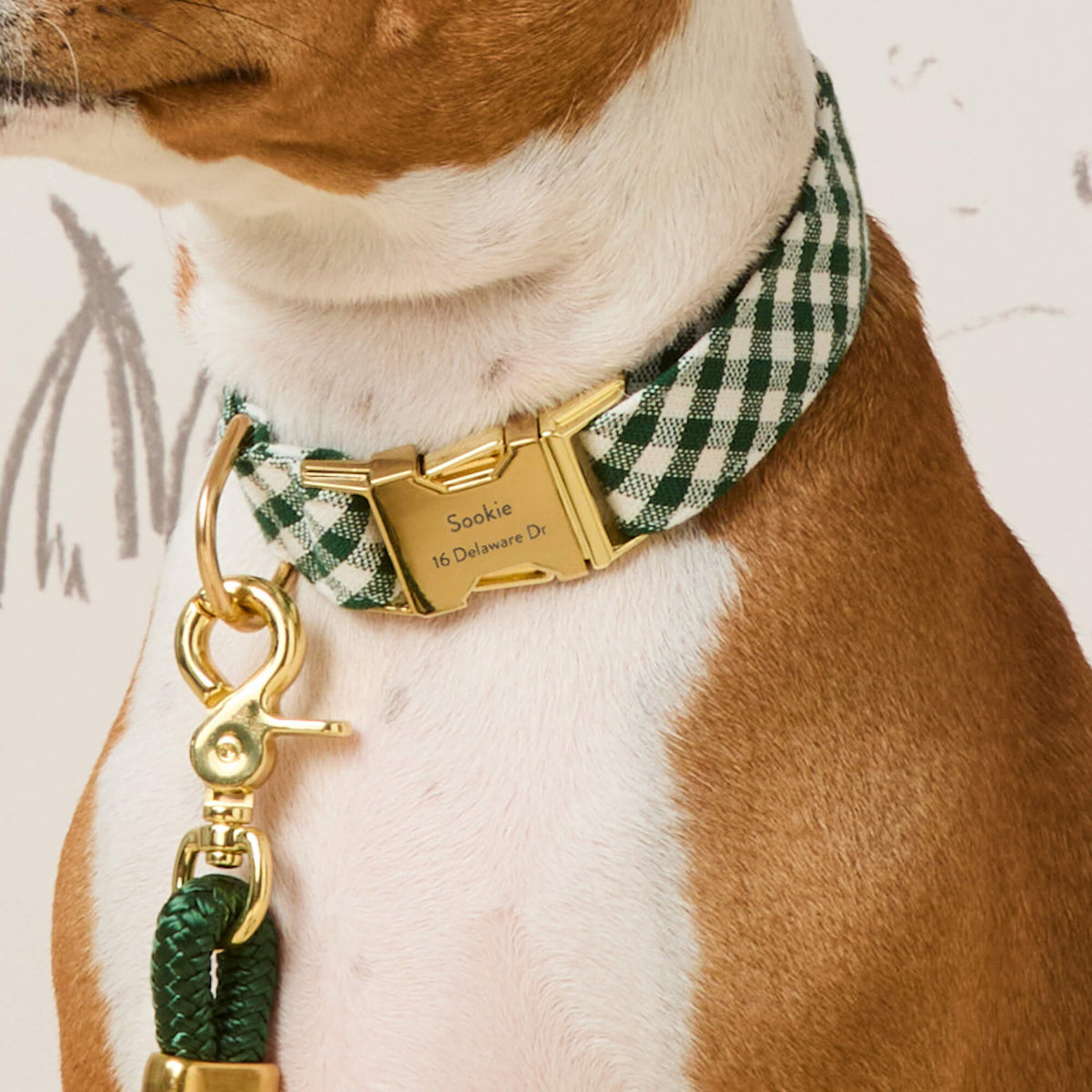 Dark Green Gingham Dog Collar, Sizes XS to Large