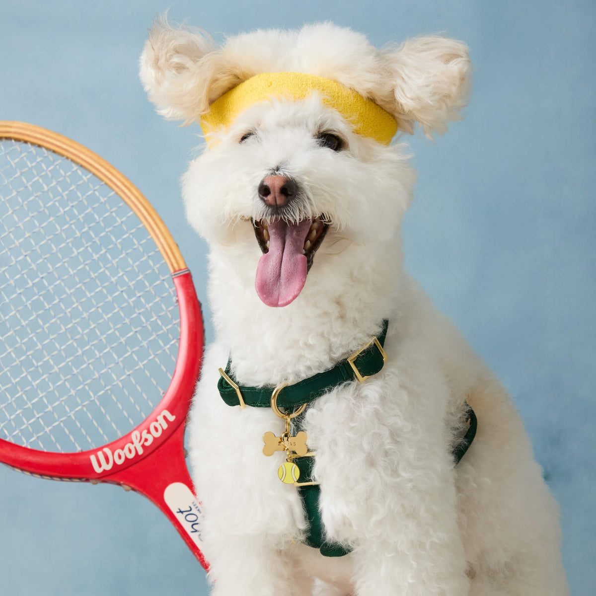 Tennis Ball Dog Collar Charm, Double-Sided Hard Enamel