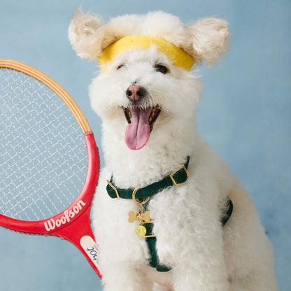 Tennis Ball Dog Collar Charm, Double-Sided Hard Enamel