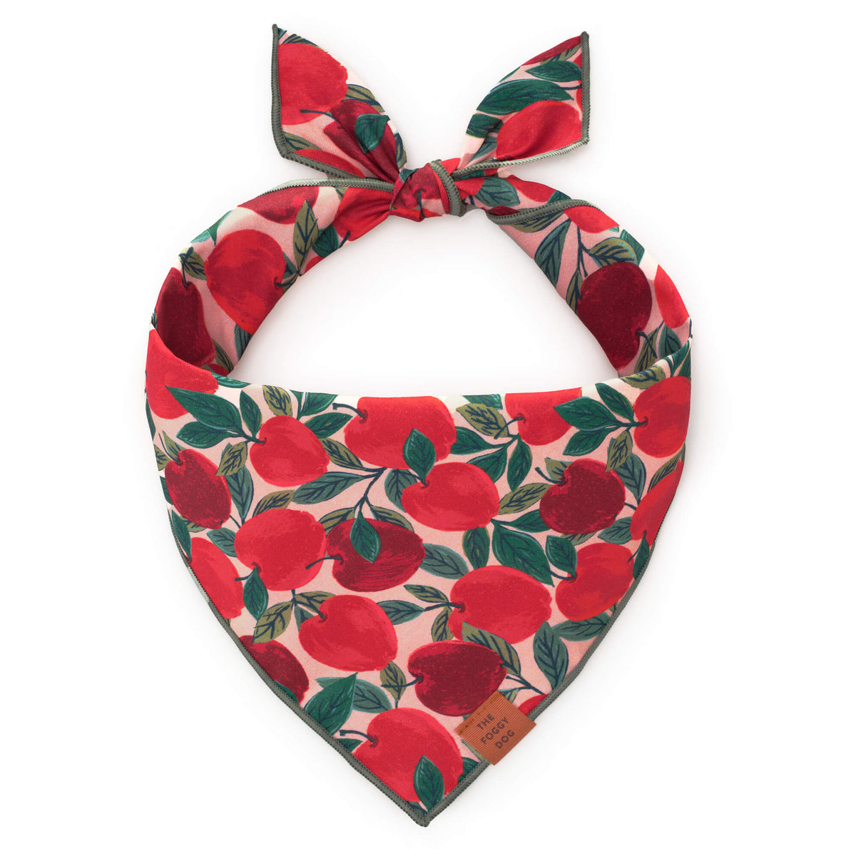 Red Apple Print Tie-On Dog Bandana with Dark Green Hem