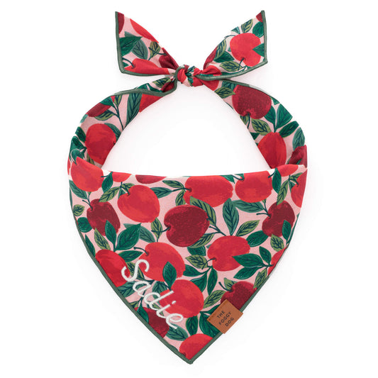 Red Apple Print Tie-On Dog Bandana with Dark Green Hem