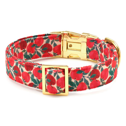 Apple Print Soft Fabric Dog Collar with Metal Hardware