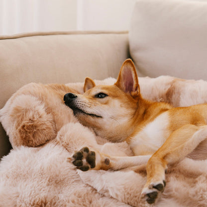 Fluffy Faux Fur Calming Dog Bed and Sofa Protector Mat