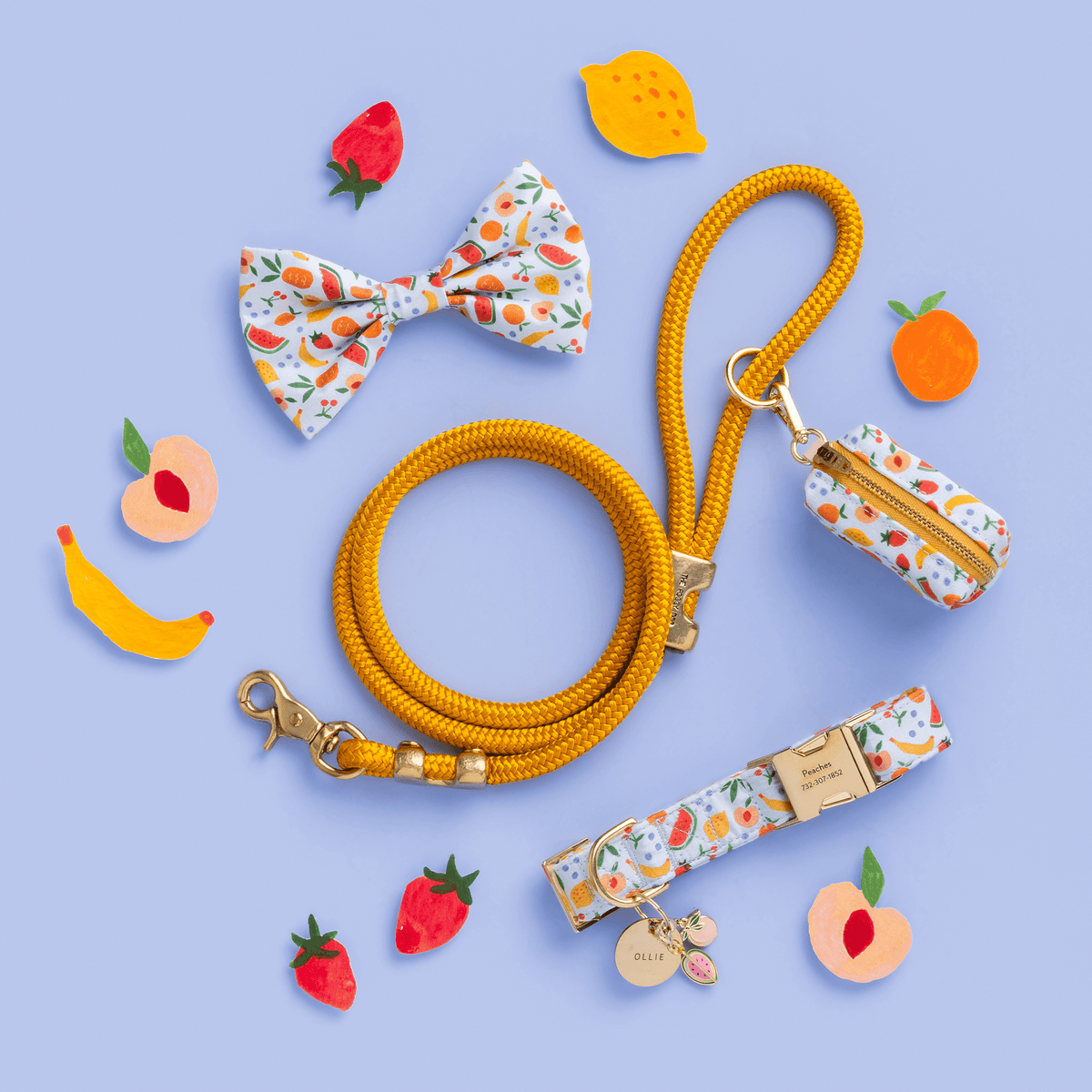 Golden Orange Marine Rope Dog Leash, 5 ft Double-Braided Nylon