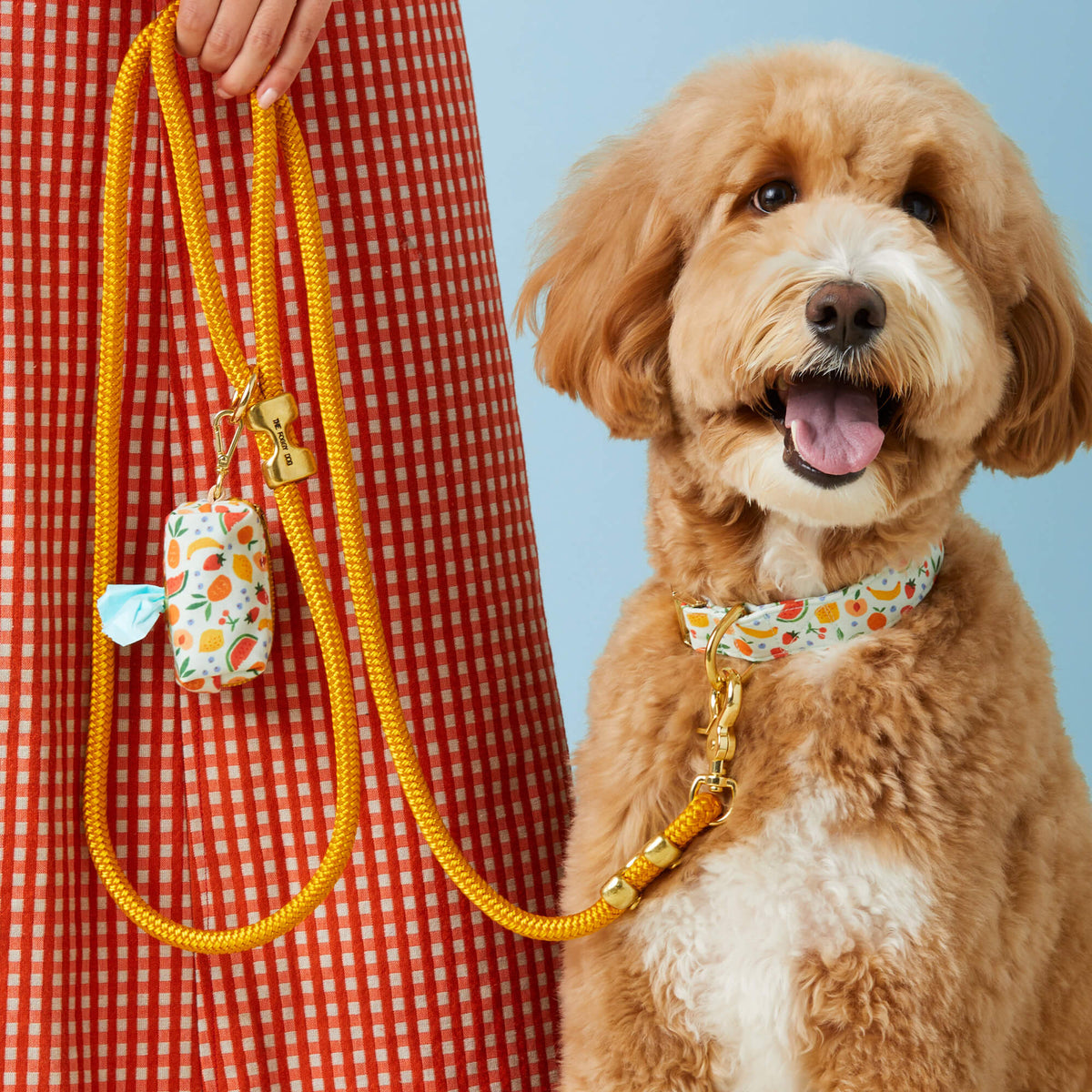 Golden Orange Marine Rope Dog Leash, 5 ft Double-Braided Nylon