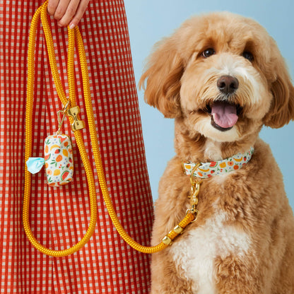 Golden Orange Marine Rope Dog Leash, 5 ft Double-Braided Nylon
