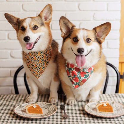 Red Apple Print Tie-On Dog Bandana with Dark Green Hem