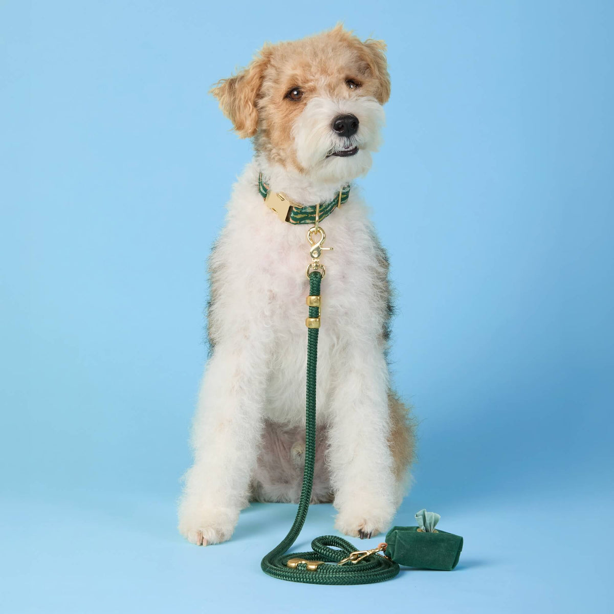 Dark Green Marine Rope Dog Leash, 5 ft, Double-Braided Nylon