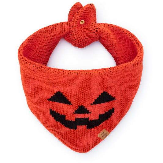 Jack-o'-Lantern Knit Dog Bandana with Snap Closure