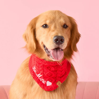 Red Cable Knit Dog Bandana with Snap Closure