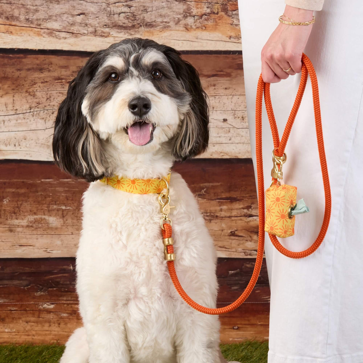 Rust Orange Braided Marine Rope Dog Leash, 5 ft