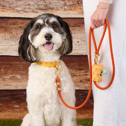 Rust Orange Braided Marine Rope Dog Leash, 5 ft