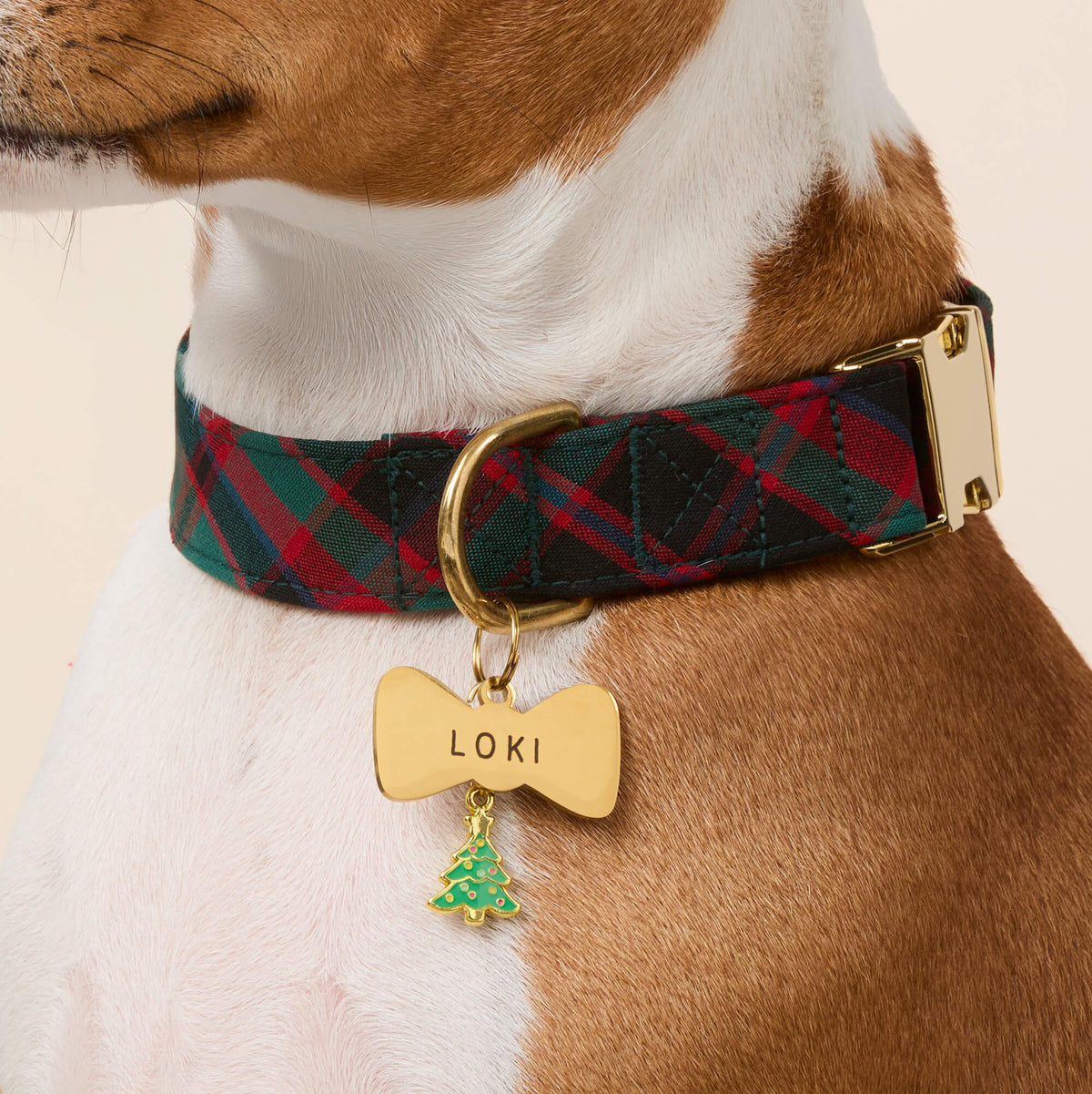 Bow Tie Stainless Steel Pet ID Tag for Dog Collars