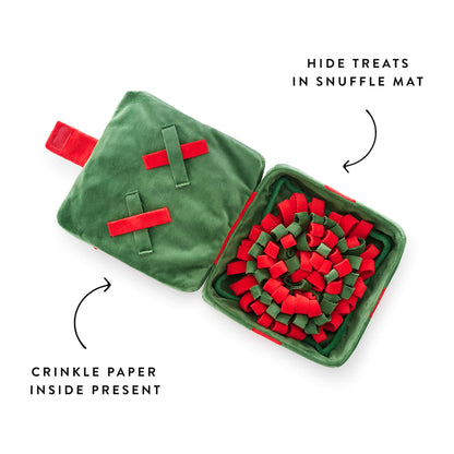 Green & Red Holiday Present Bounce Toy with Squeaker Ball for Dogs