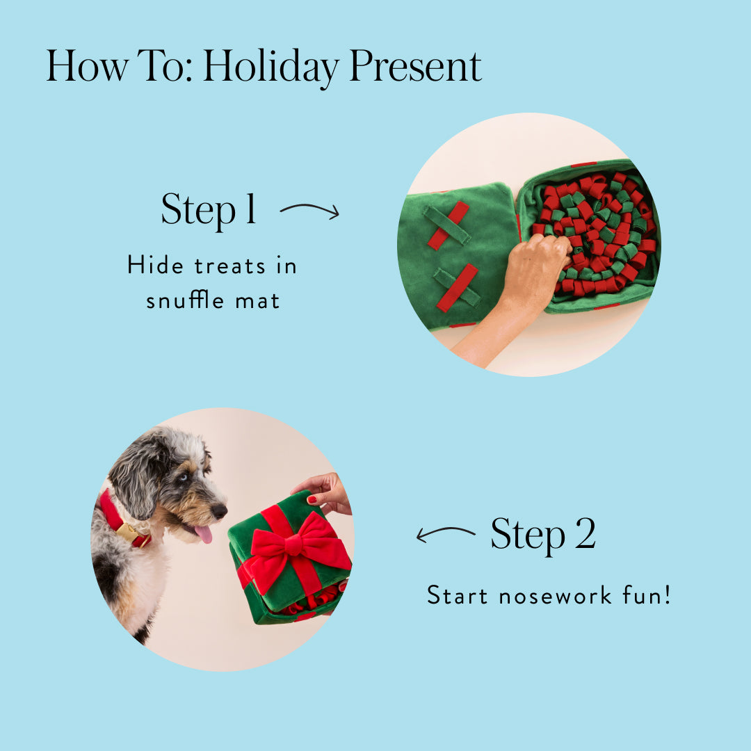 Green & Red Holiday Present Bounce Toy with Squeaker Ball for Dogs