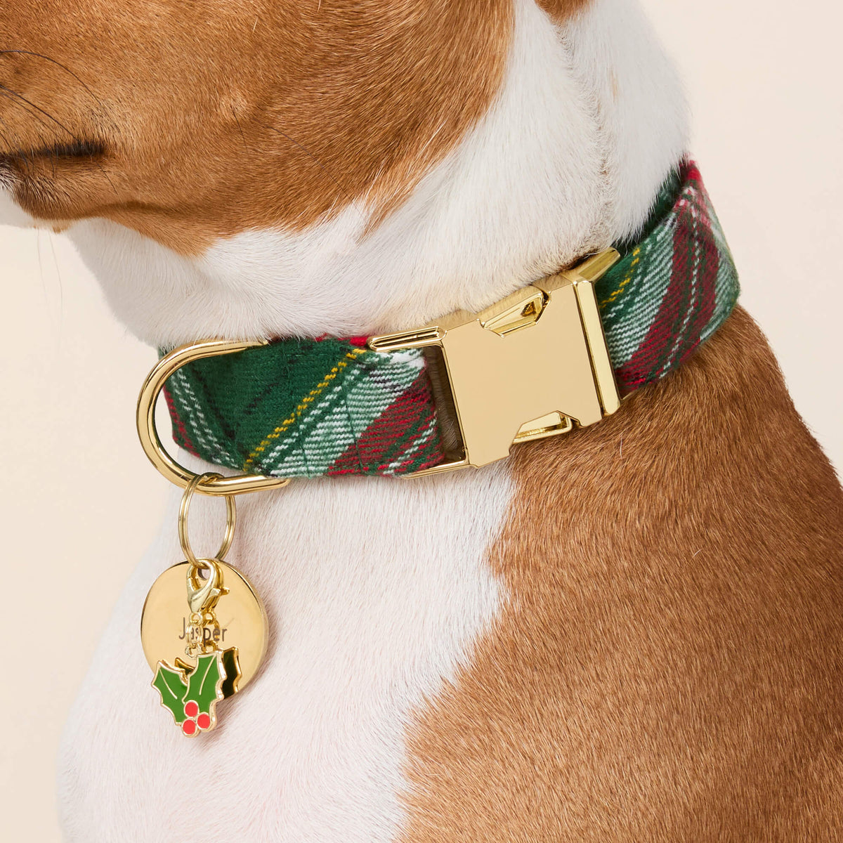 Green & Red Plaid Flannel Dog Collar with Gold Hardware