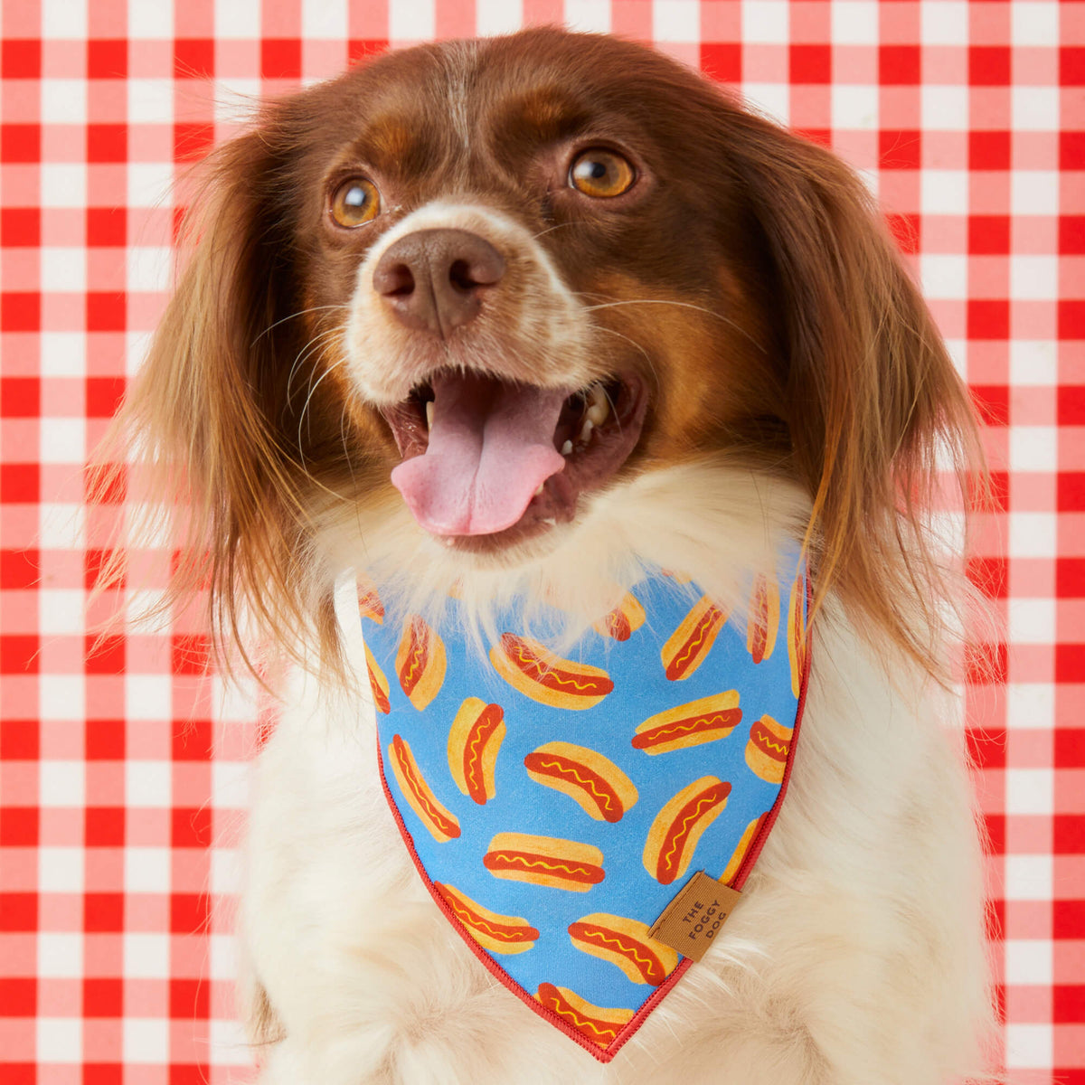 Blue Hot Dog Print Dog Bandana with Red Merrow Hem