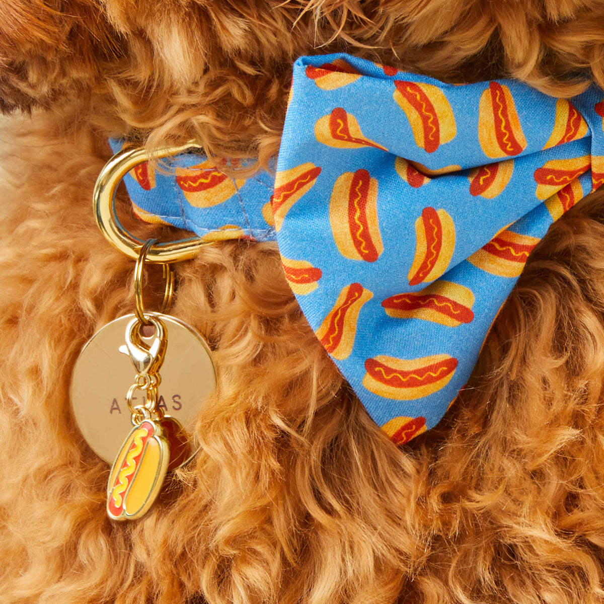 Hot Dog Shaped Dog Collar Charm, Gold Plated Steel