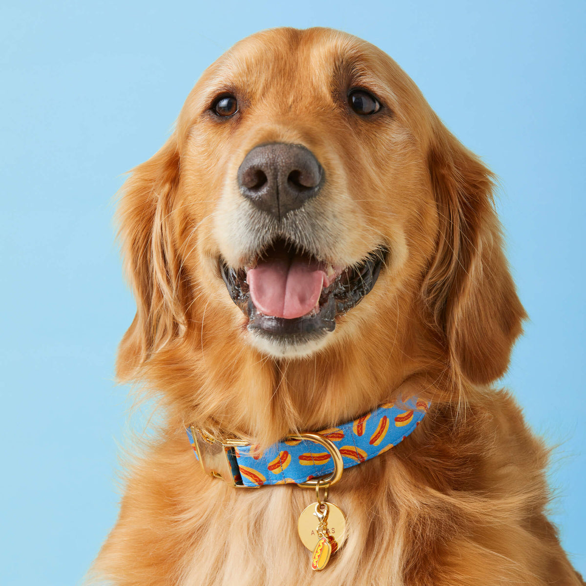 Blue Hot Dog Print Cotton Dog Collar with Brass D-Ring