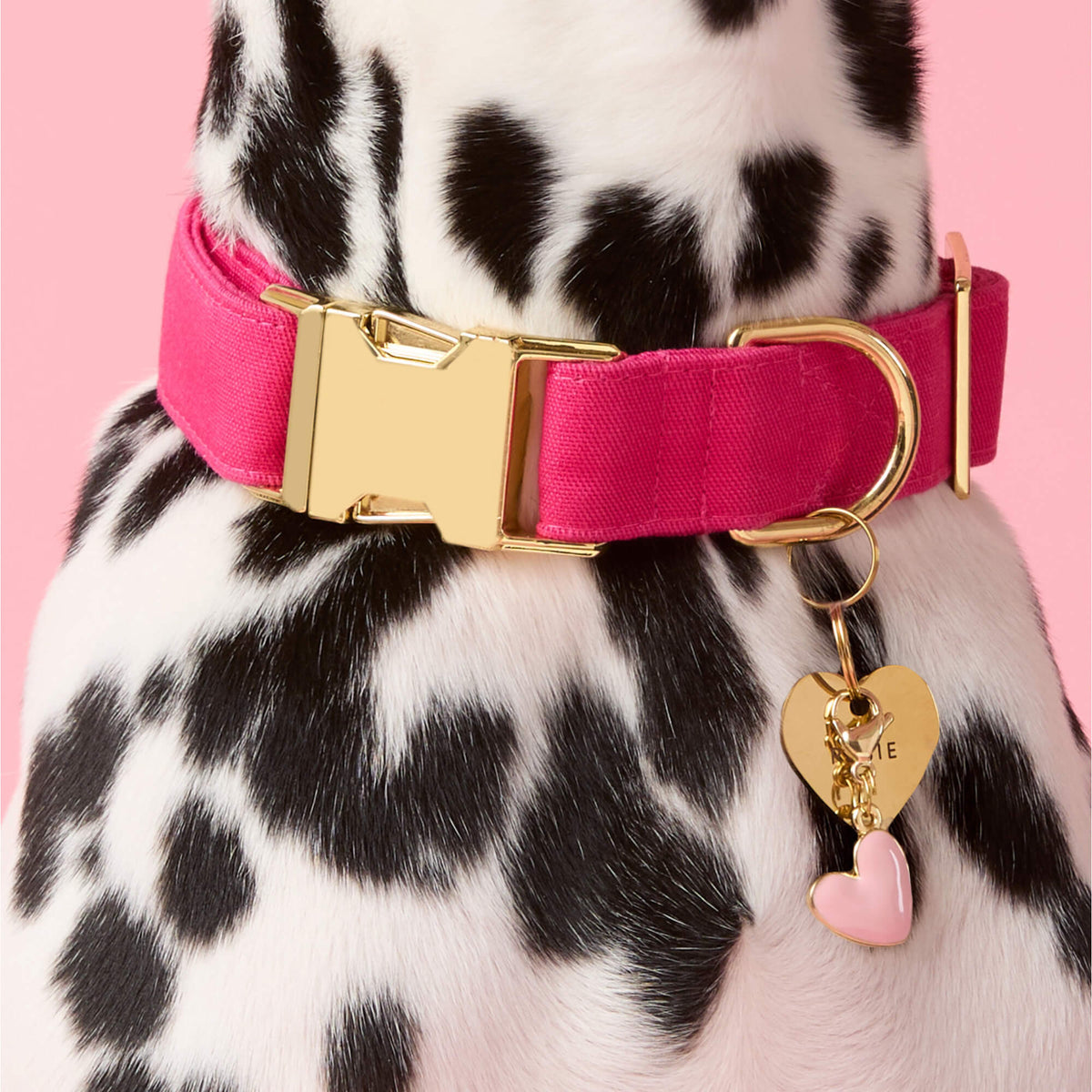 Hot Pink Cotton Dog Collar with Gold Hardware