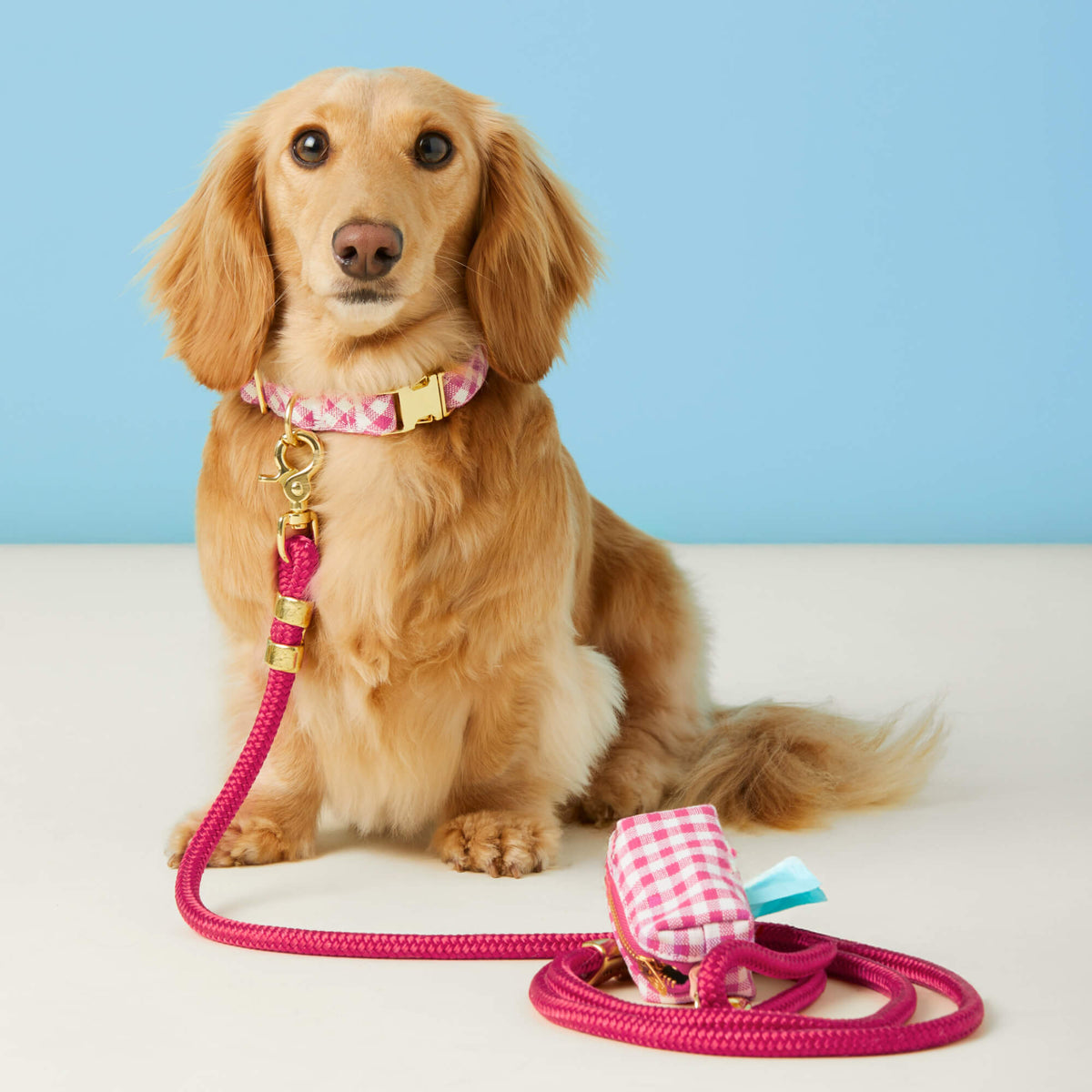 Hot Pink Marine Rope Dog Leash with O-Ring, 5 ft