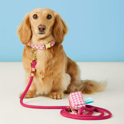 Hot Pink Marine Rope Dog Leash with O-Ring, 5 ft