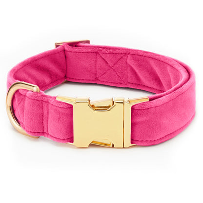 Hot Pink Velvet Dog Collar with Removable Lady Bow