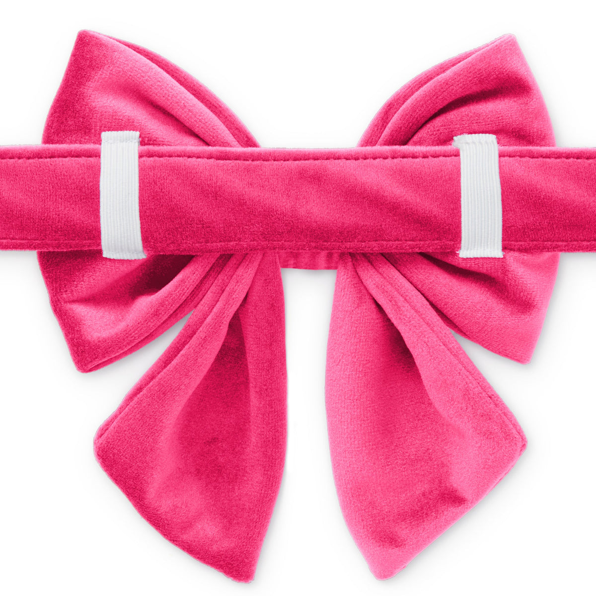 Hot Pink Velvet Dog Collar with Removable Lady Bow